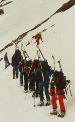 A la queue leu leu au pied du Mont Br&ucirc;l&eacute;