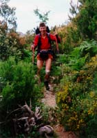 La d&eacute;couvrte du maquis entre Asinau et Bavella, superbe !